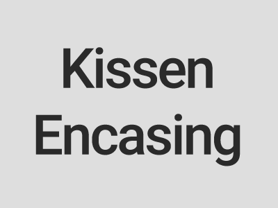 Kategoriebild der Kategorie “Kissen Encasings”