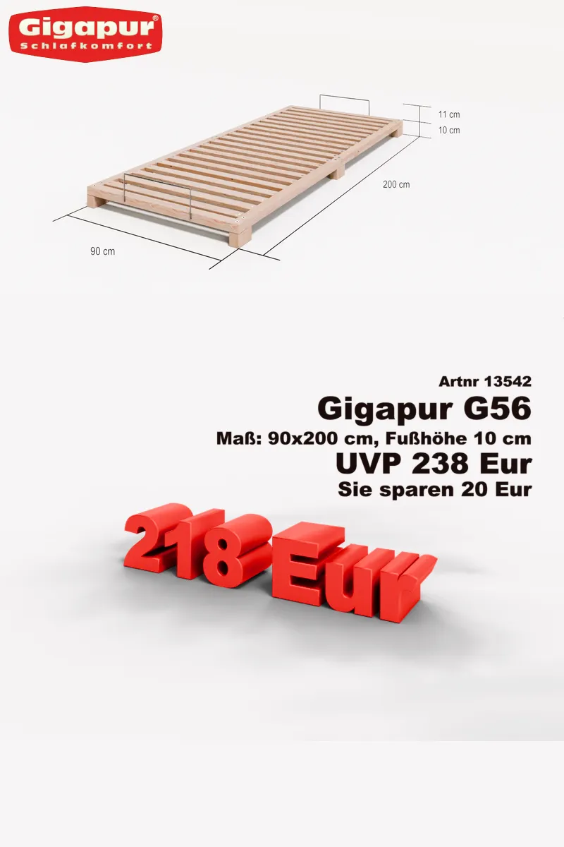 G56 13542