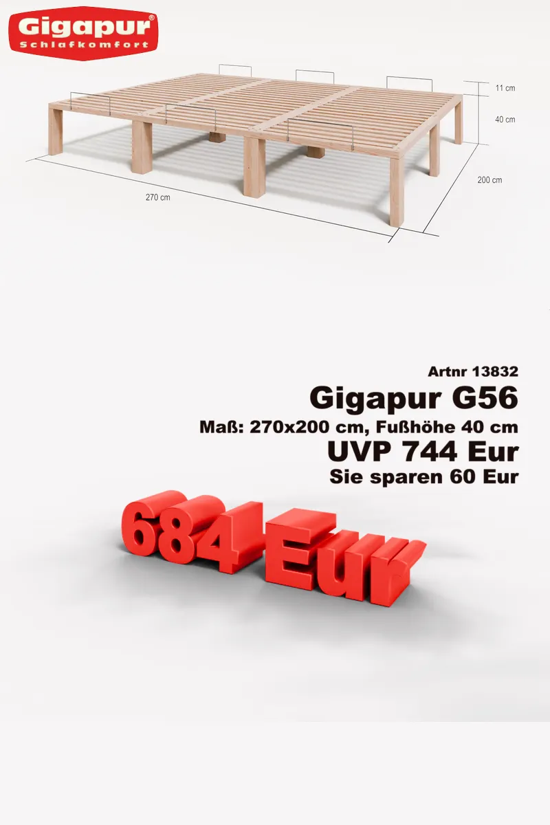 G56 13832